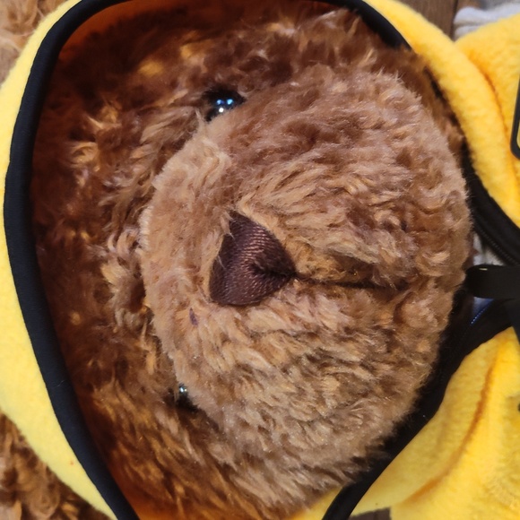 Vintage Gund Wish Bear Limited Edition Luck Bear 2000 2001 EUC - Picture 2 of 12